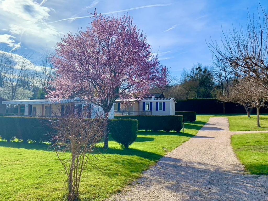 Camping Familial Paisible Avec Piscine, Mobil Home , Chalet, Studio & Emplacement Nue Casties-Labrande Esterno foto